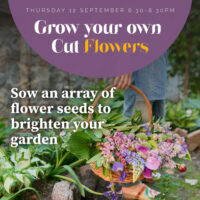 Grow flowers from seed