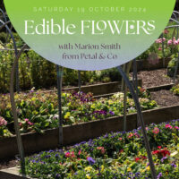 Edible Flower Workshop