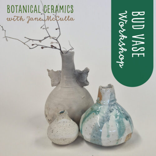 Botanical ceramics