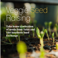 Veggie Seed Raising