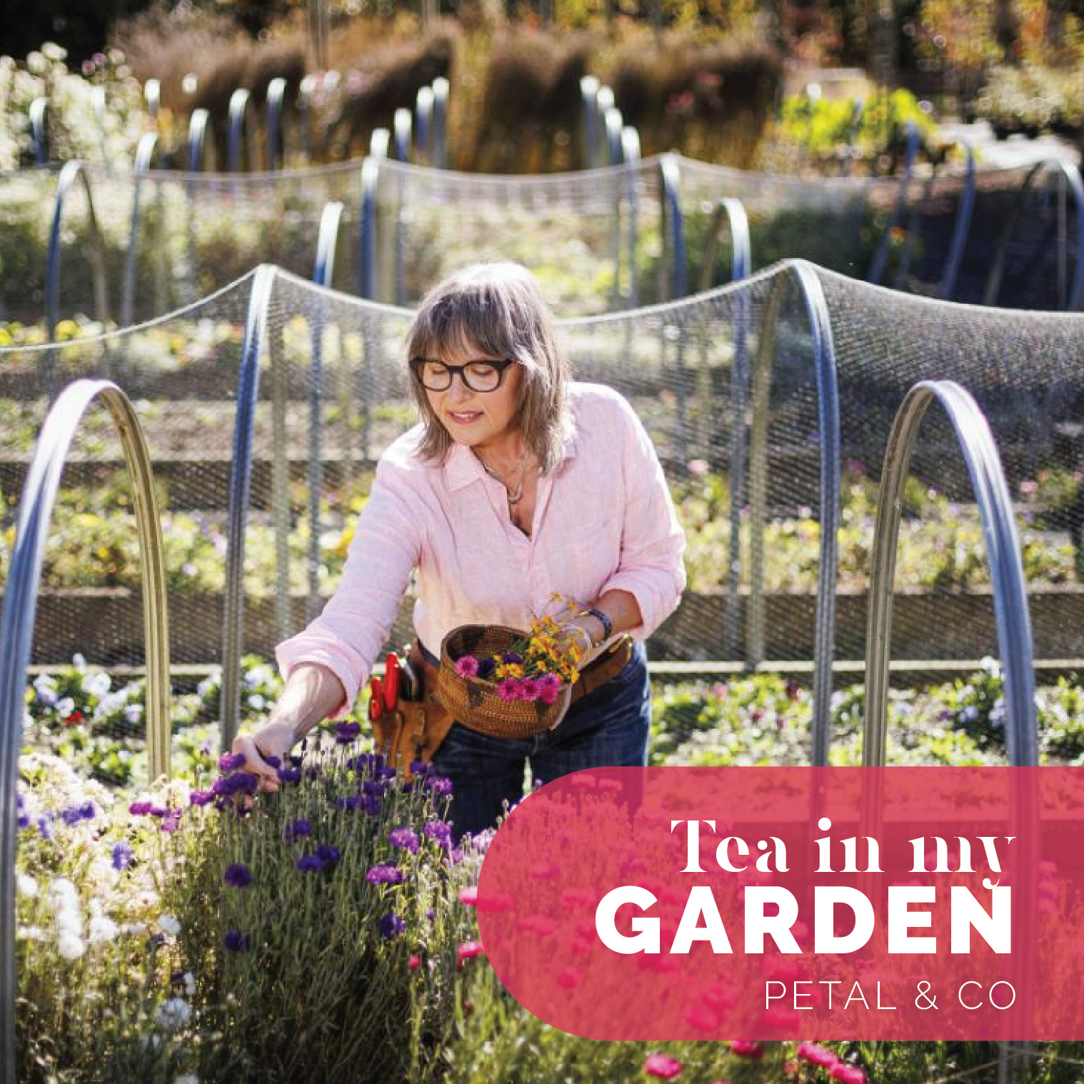 Canterbury Garden Tours