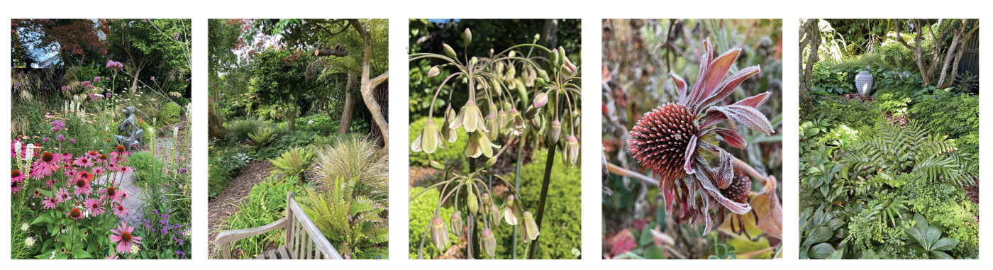 CHS Avebury CLimate Resilient Garden