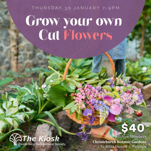 Grow your own cut flowers