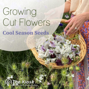 Growing Cut Flowers