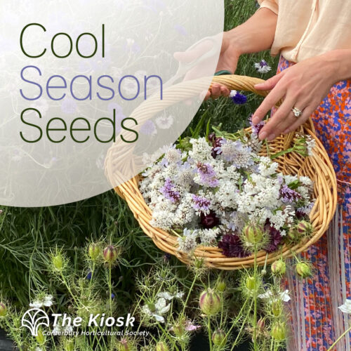 Cool Season Seed Workshop