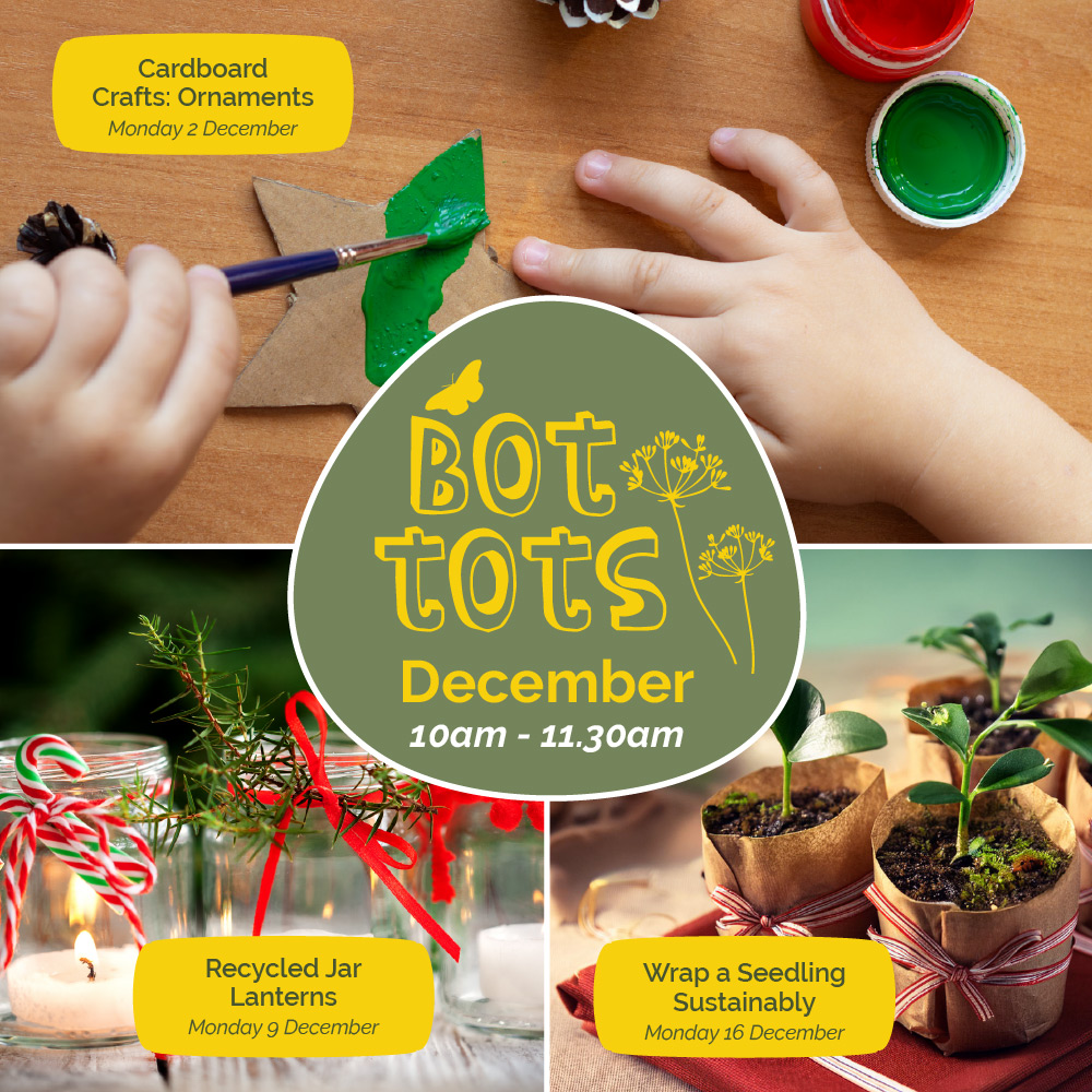 Bot Tots December Activities