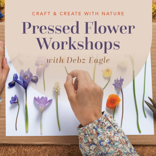 Pressed Flower Workshops