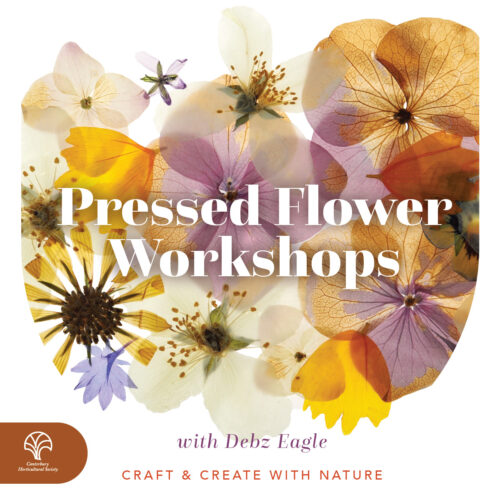 Pressed flower Workshops